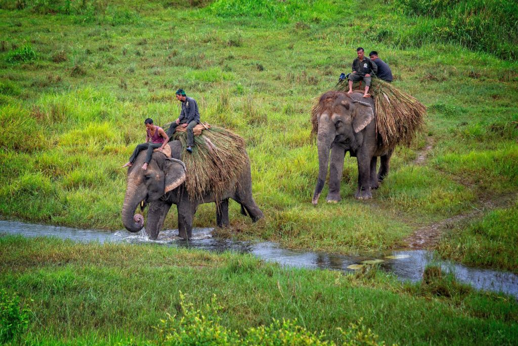 Nepal