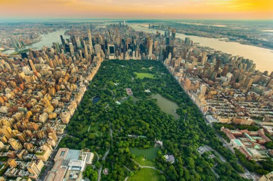 New York e Festa del Ringraziamento 2025