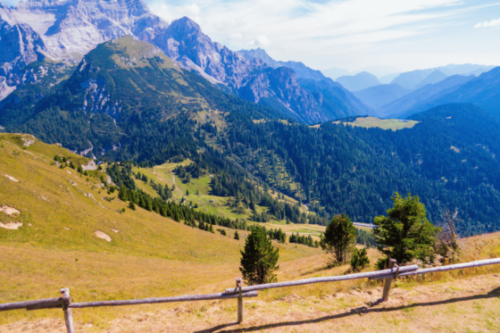 Tour – soggiorno in Val Rendena