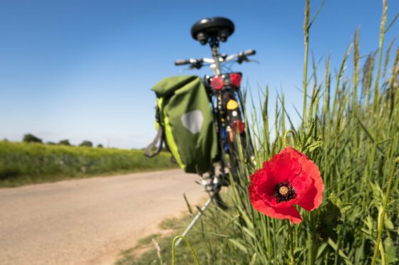 viaggiare in bici