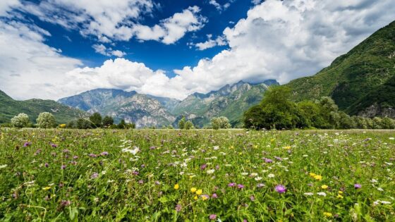 Tour soggiorno a Bormio